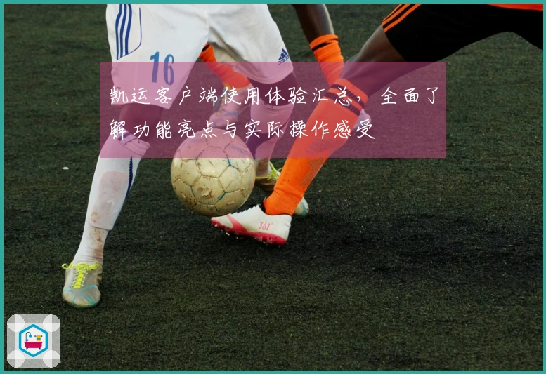 凯运客户端使用体验汇总，全面了解功能亮点与实际操作感受